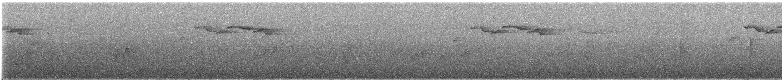 Javalaubsänger (Balilaubsänger) - ML647026841