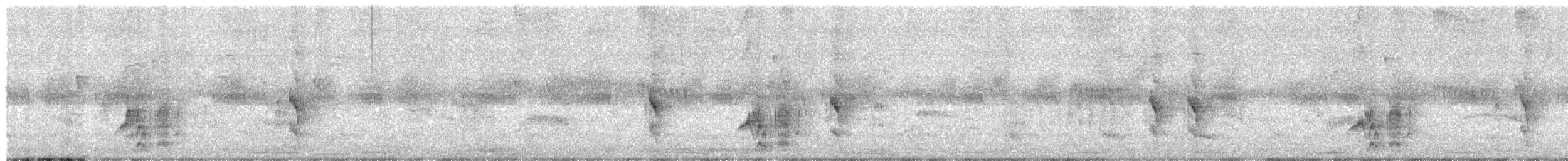 Small-headed Elaenia - ML647027149