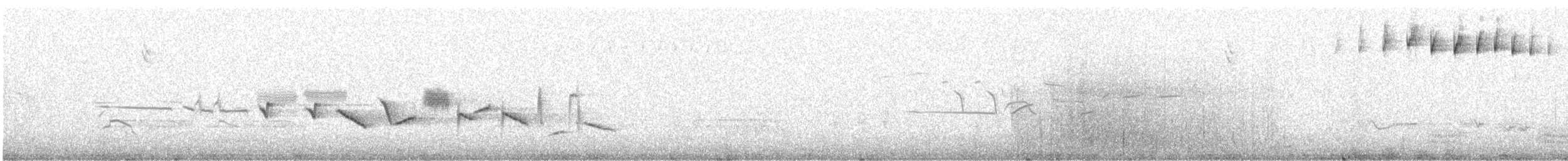 strnadec kaštanový (ssp. iliaca/zaboria) - ML647027884