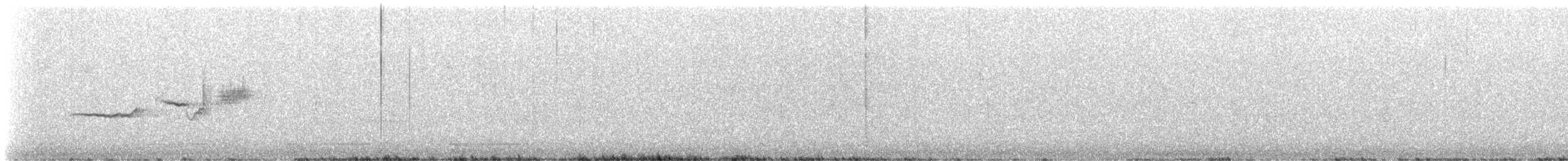 strnadec bělopásý - ML647027926