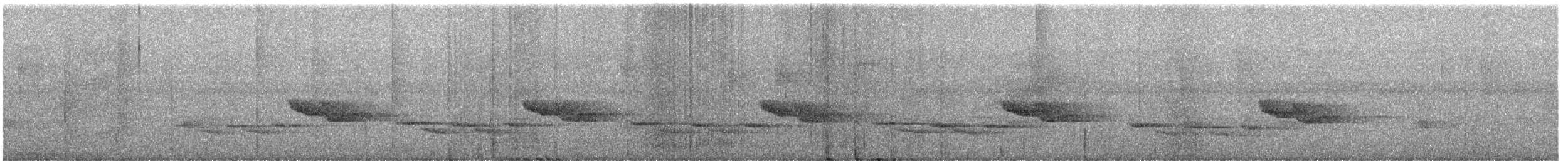 střízlík běloprsý - ML647028065