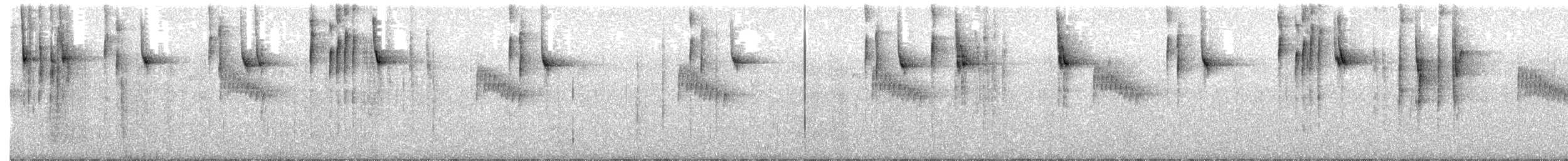 Black-cheeked Warbler - ML647028160