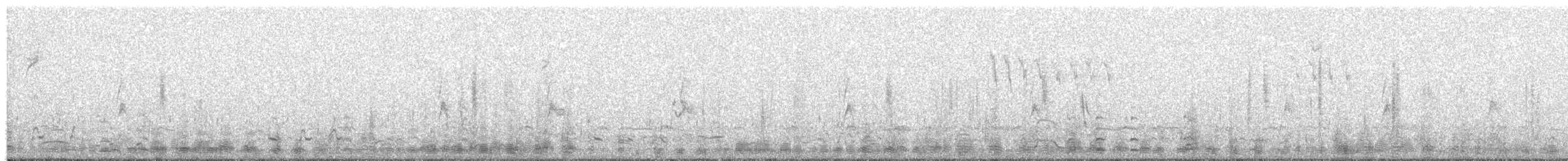 husa sněžní - ML647028197