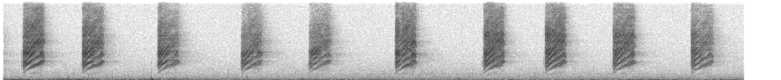 sojka západní - ML647028202