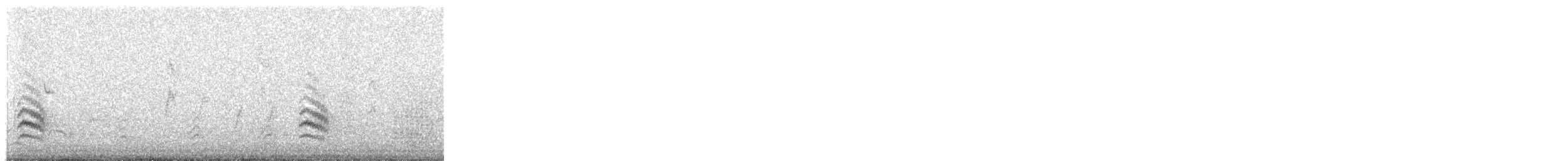 brhlík běloprsý (ssp. aculeata/alexandrae) - ML647028205