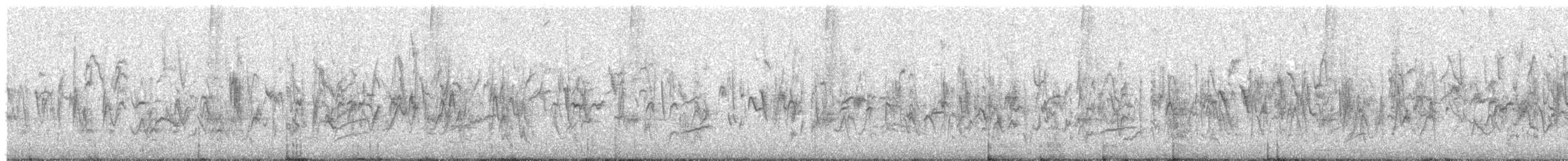 čížek kalifornský - ML647028210