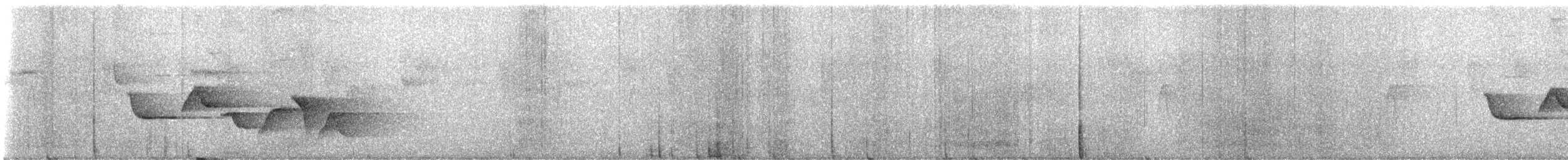 Fleckenbrust-Zaunkönig - ML647028959