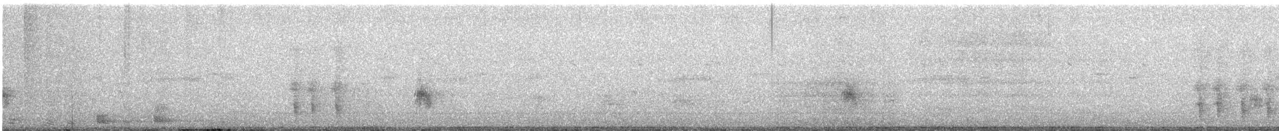 Orientelster - ML647029476