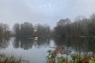 Strines Mill Ponds, Manchester, England, United Kingdom - eBird Hotspot