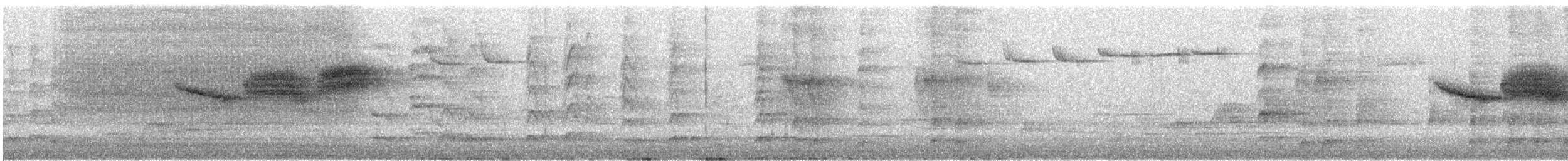 סבכון שחור-גרון - ML647031633