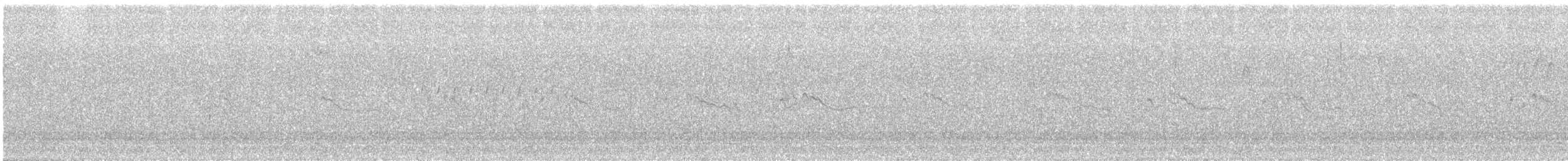 Kildir txirritxoa - ML647032426