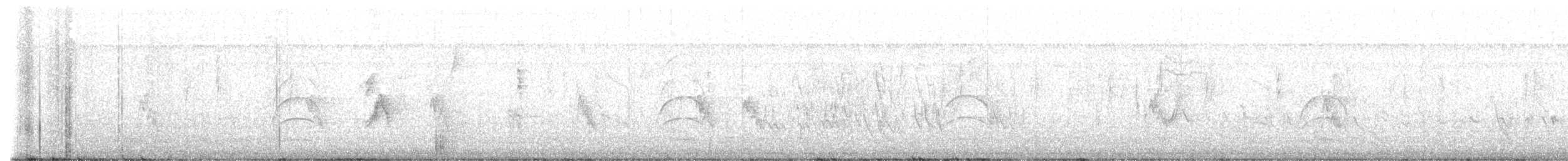 Brown-backed Solitaire - ML647032893