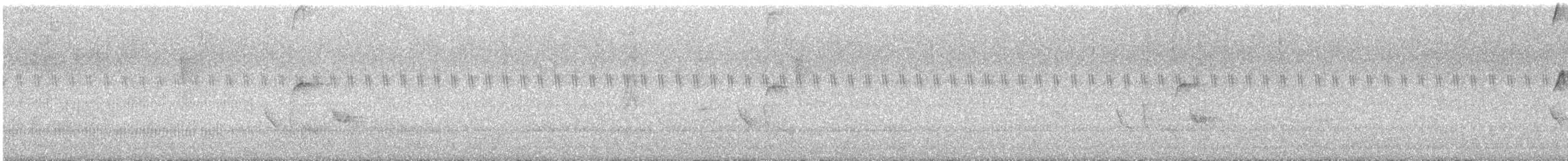 tropekongetyrann - ML647032920