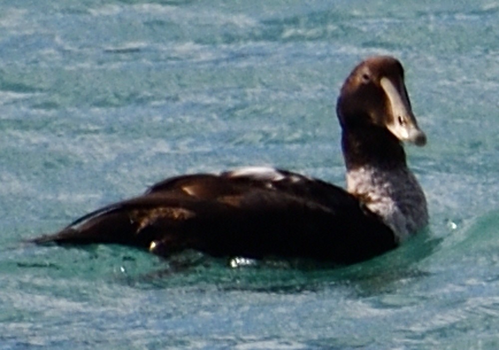 Not specified - Margaret O'Brien