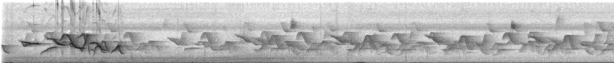 Cucarachero Pinto - ML647033216