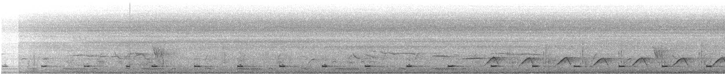 vousáček zlatočelý - ML647033284