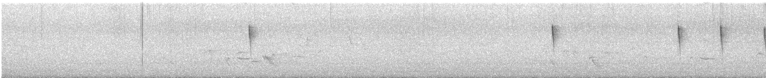 סבכון חכלילי - ML647033502