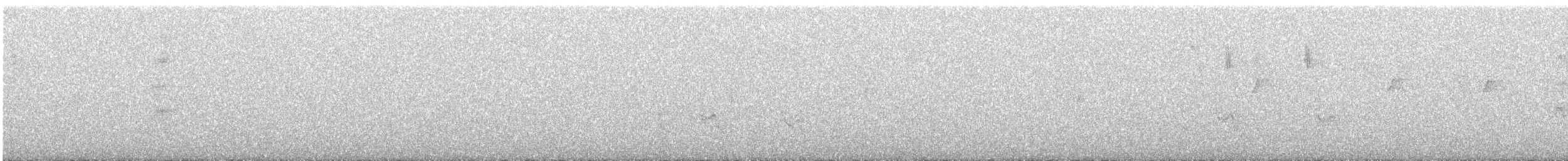 Maracaibo Tody-Flycatcher - ML647033823