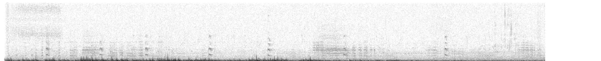 Cormorán Grande - ML647034189