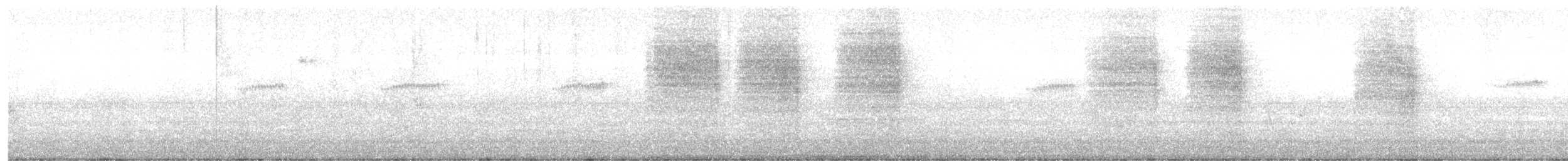 Chochín Criollo Sureño - ML647035938