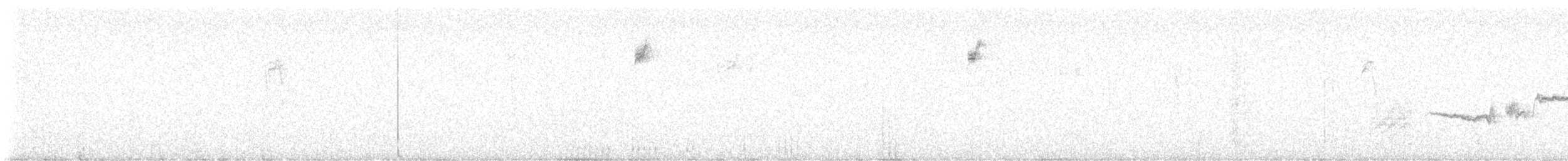 Woodhouse's Scrub-Jay - ML647035995