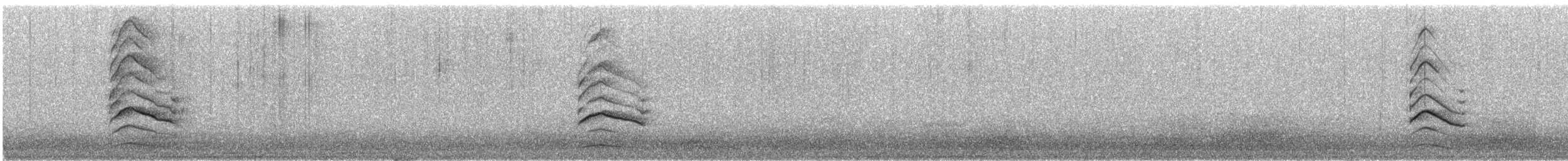 Northern Lapwing - ML647036509