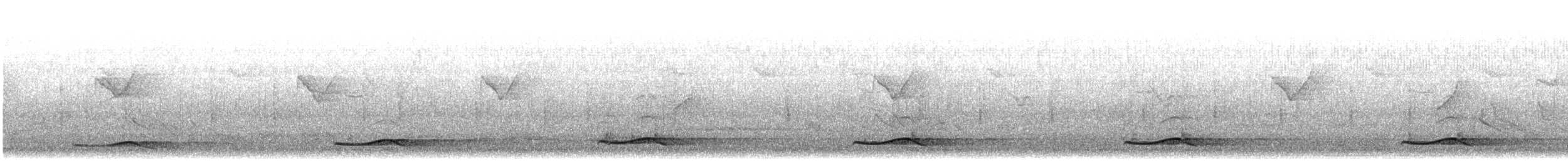 Коель великий - ML647038819