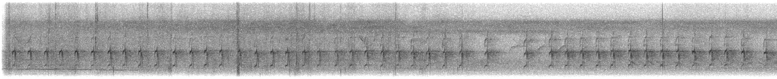 Common Tailorbird - ML647039096