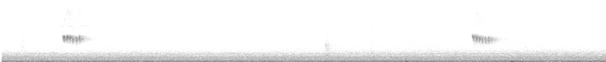 tropekongetyrann - ML647039465