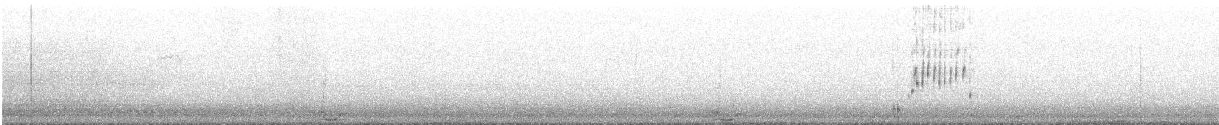 Common Raven - ML647039858