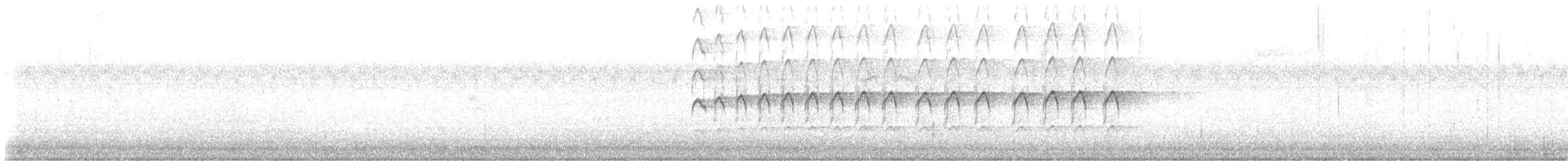 Cernícalo Australiano - ML647039948