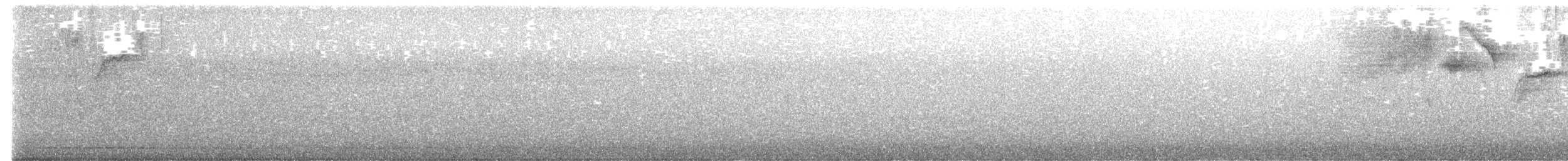 Sucrier à ventre jaune - ML647040110