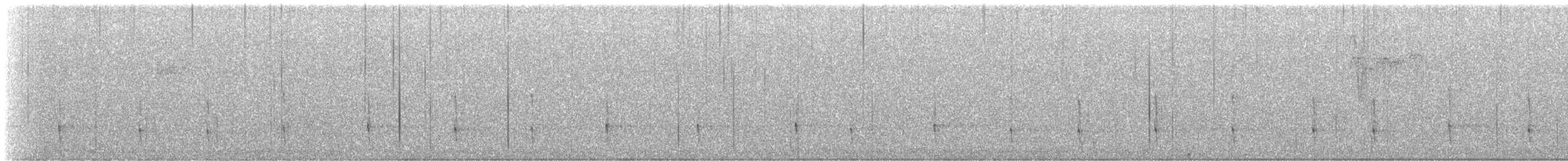 svartryggspett - ML647041430