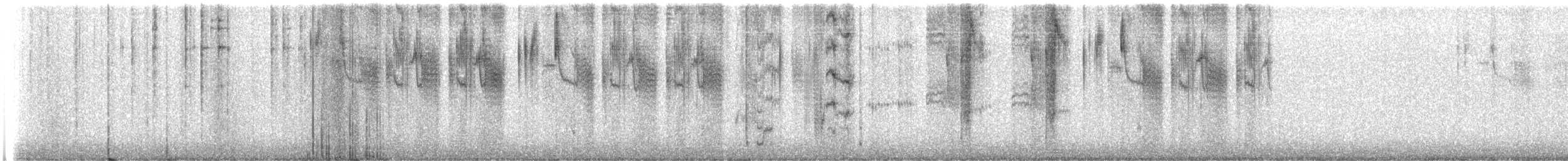 Рубиновый калипсо - ML647041799