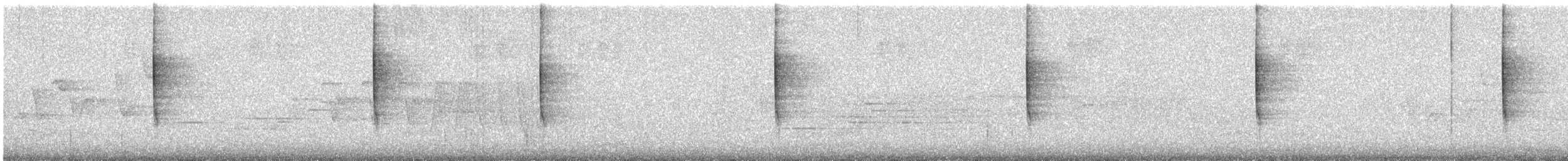 Paruline du Canada - ML647042017