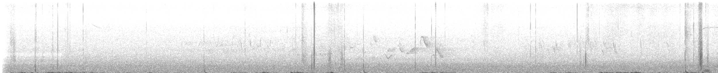 MacGillivray's Warbler - ML647042536