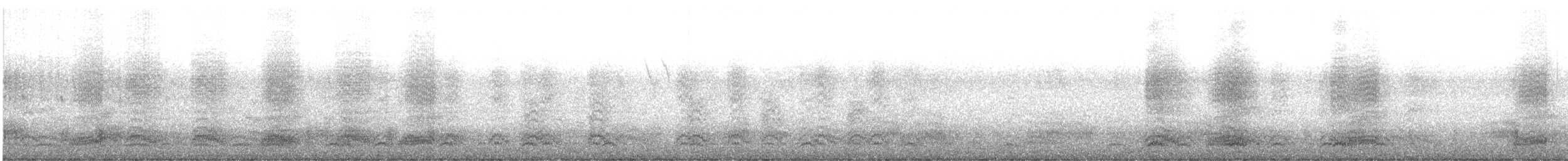 Чихуахунский ворон - ML647042610