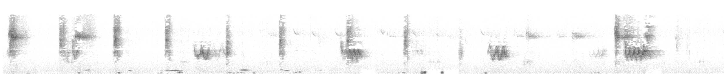 Пёстрый бентеви - ML647042820