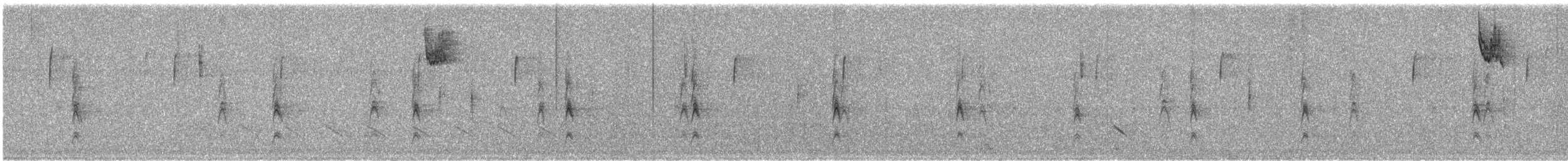 Белогорлая зонотрихия - ML647043297