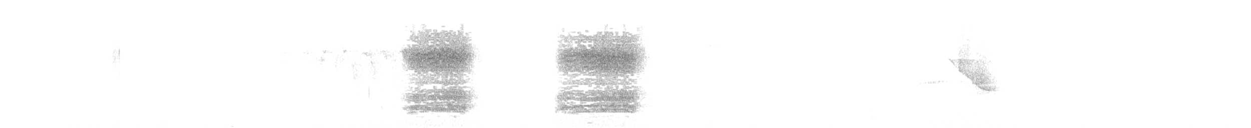 Aratinga buru-urdina - ML647043354