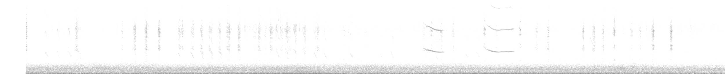 čížek mexický - ML647044143