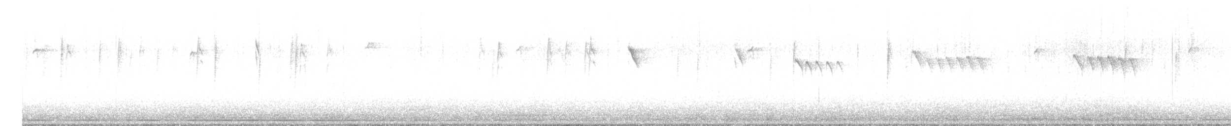 mlynařík americký - ML647044571