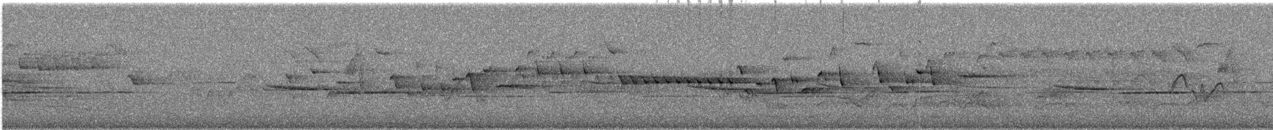 Волоочко канадське - ML647047064