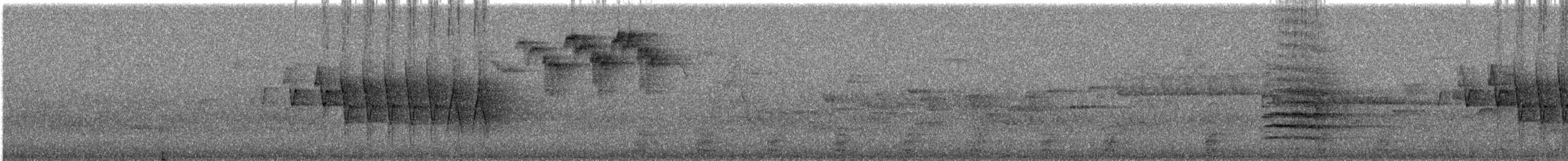 Fichtenwaldsänger - ML647047082