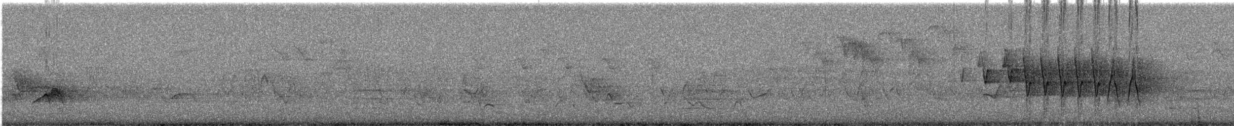 Northern Waterthrush - ML647047107