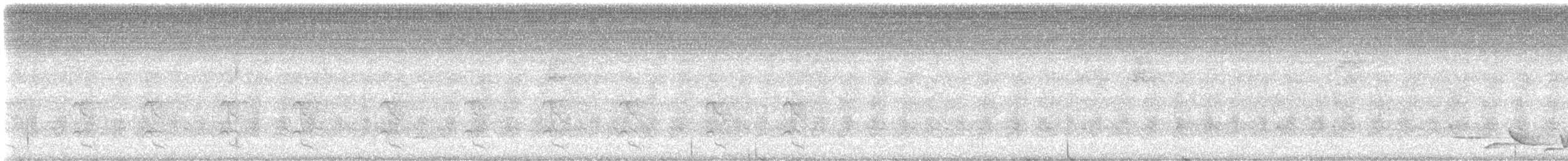 Ochre-bellied Flycatcher - ML647048306