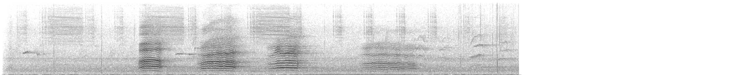 Australian Raven - ML647051158