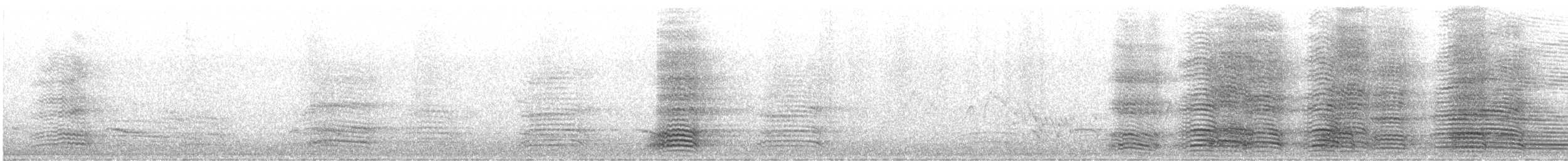 Australian Raven - ML647051344