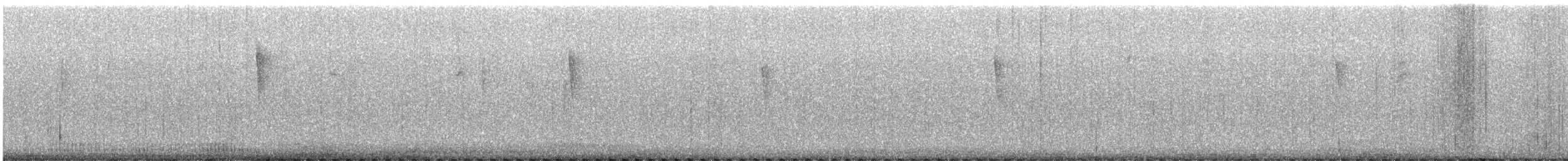 Northern Parula - ML647053221