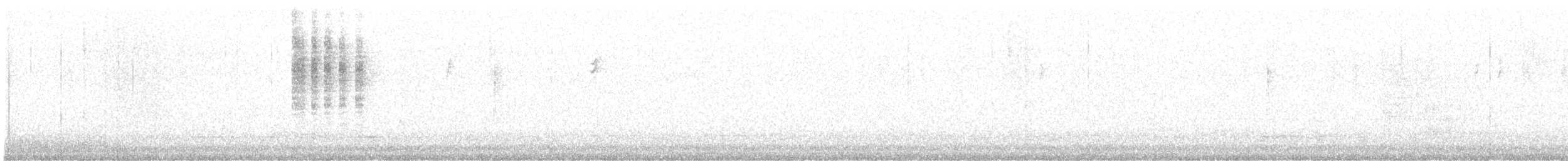 Chochín Criollo Norteño - ML647053368